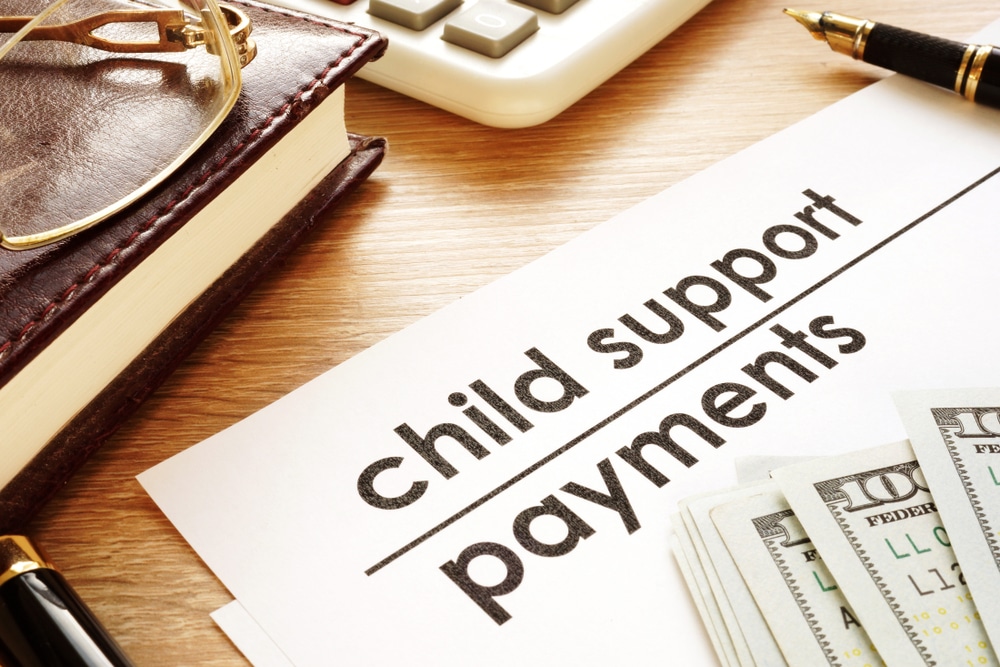 ChildSupportPaymentsDocumentsInACourt ChildSupportPaymentsDocumentsInACourt
